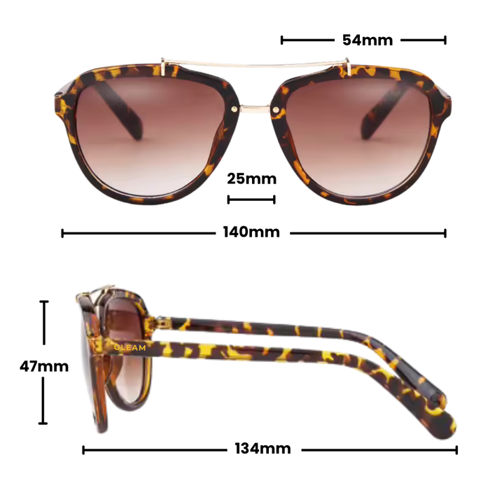 Gleam Eyewear | EILEEN SUNGLASSES Tortoise Dimension