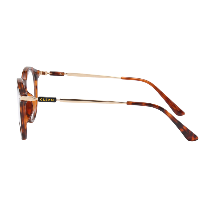 EDITH READERS | Brown Tortoise