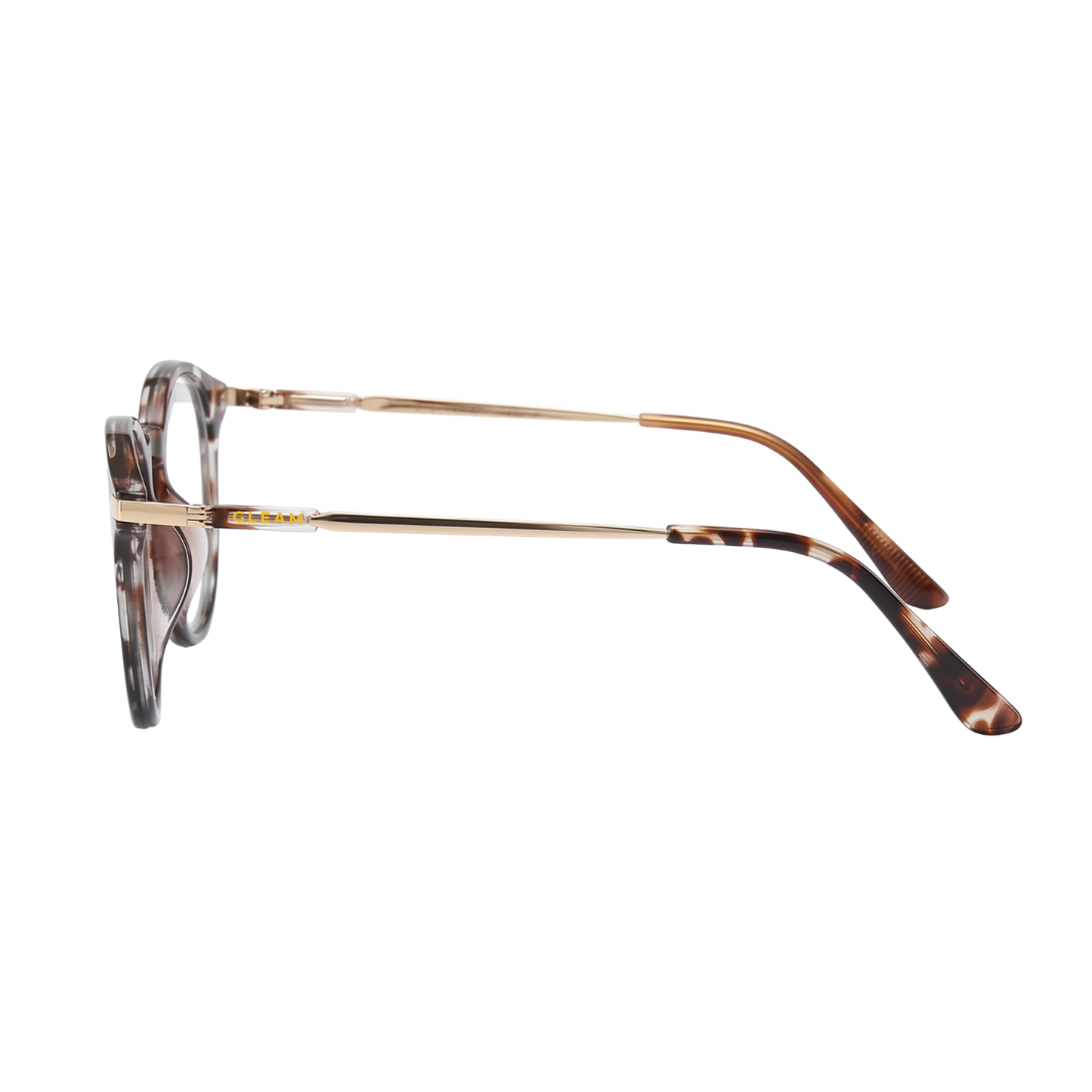 EDITH READERS | Black Tortoise