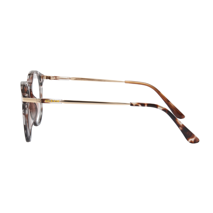 EDITH READERS | Black Tortoise
