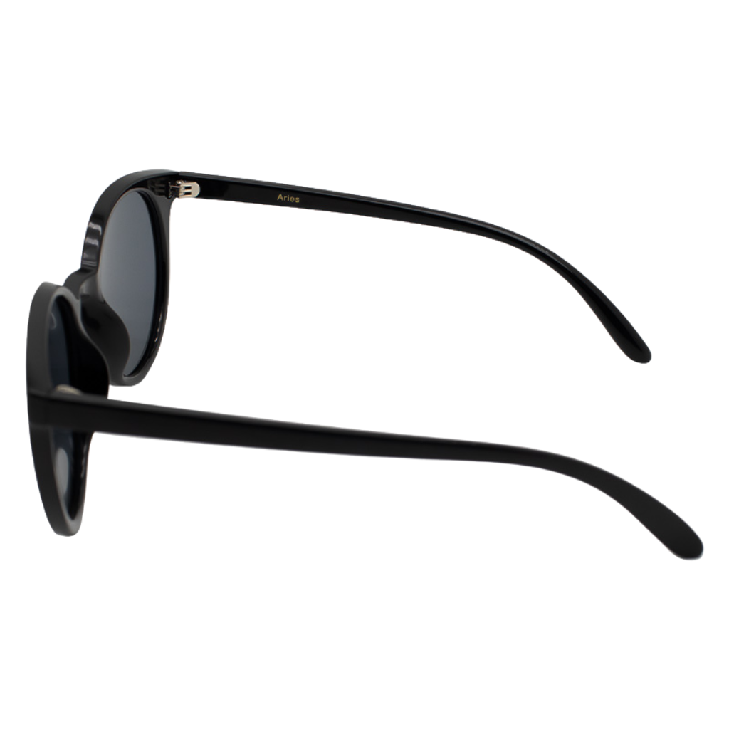 Black sunglasses featuring a gold aries zodiac sign engraved on the endpiece - temple View